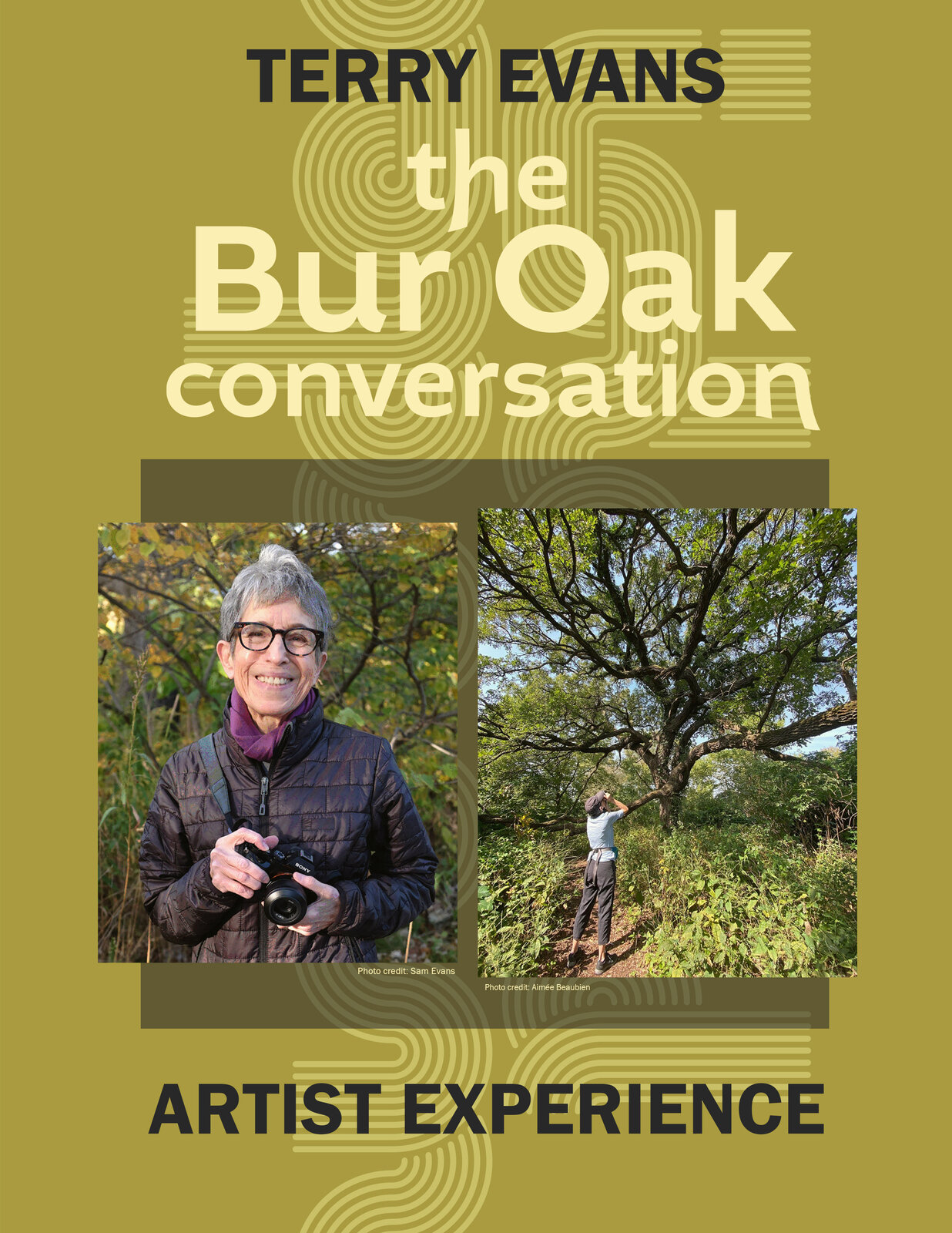 Appraisal: Terry Evans The Bur Oak Conversation Photographer Terry Evans invites