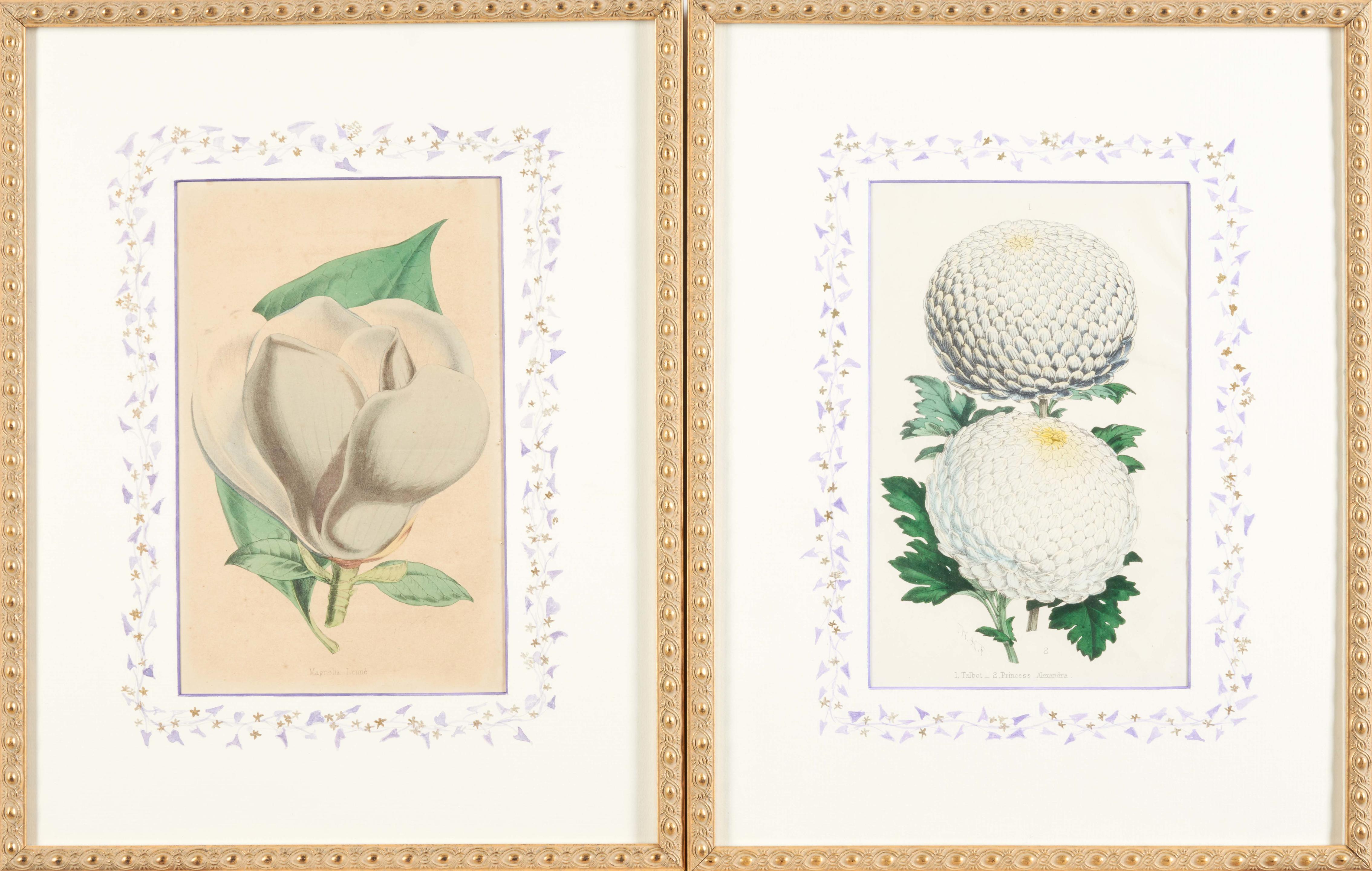 Appraisal: WALTER HOOD FITCH BRITISH - Set of Four Framed Botanical