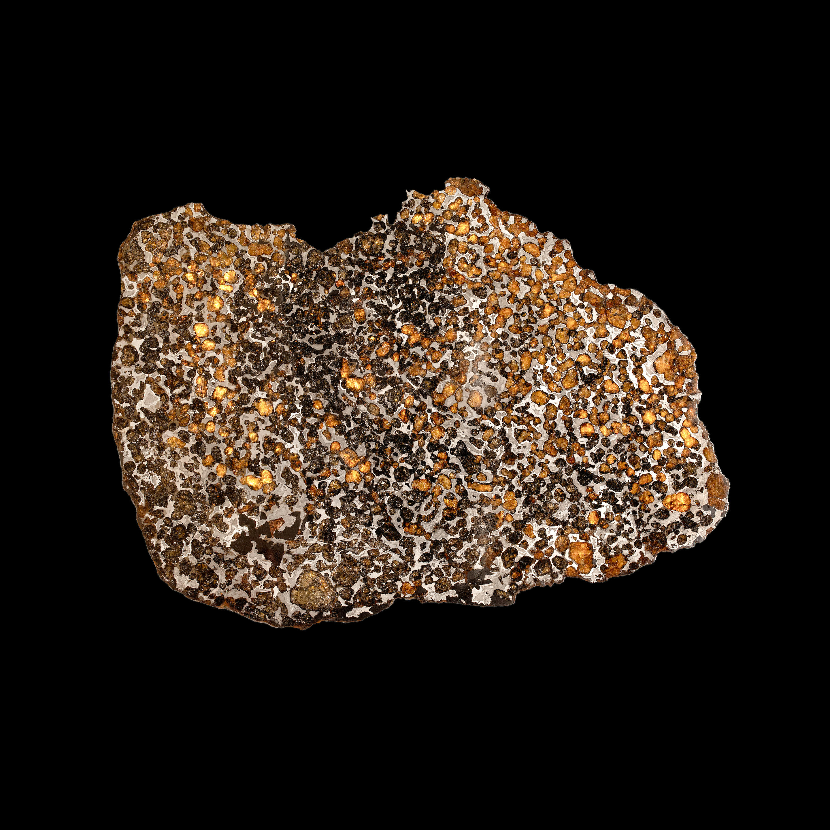 Appraisal: TRANCHE POLIE ET GRAV E DE M T ORITE PALLASITE