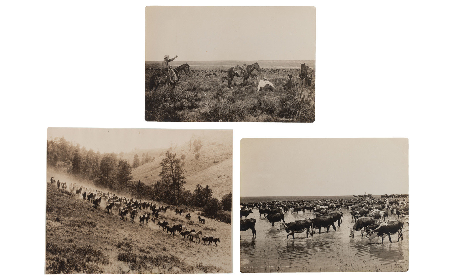 Appraisal: WESTERN AMERICANA A group of western etchings prints and photographs