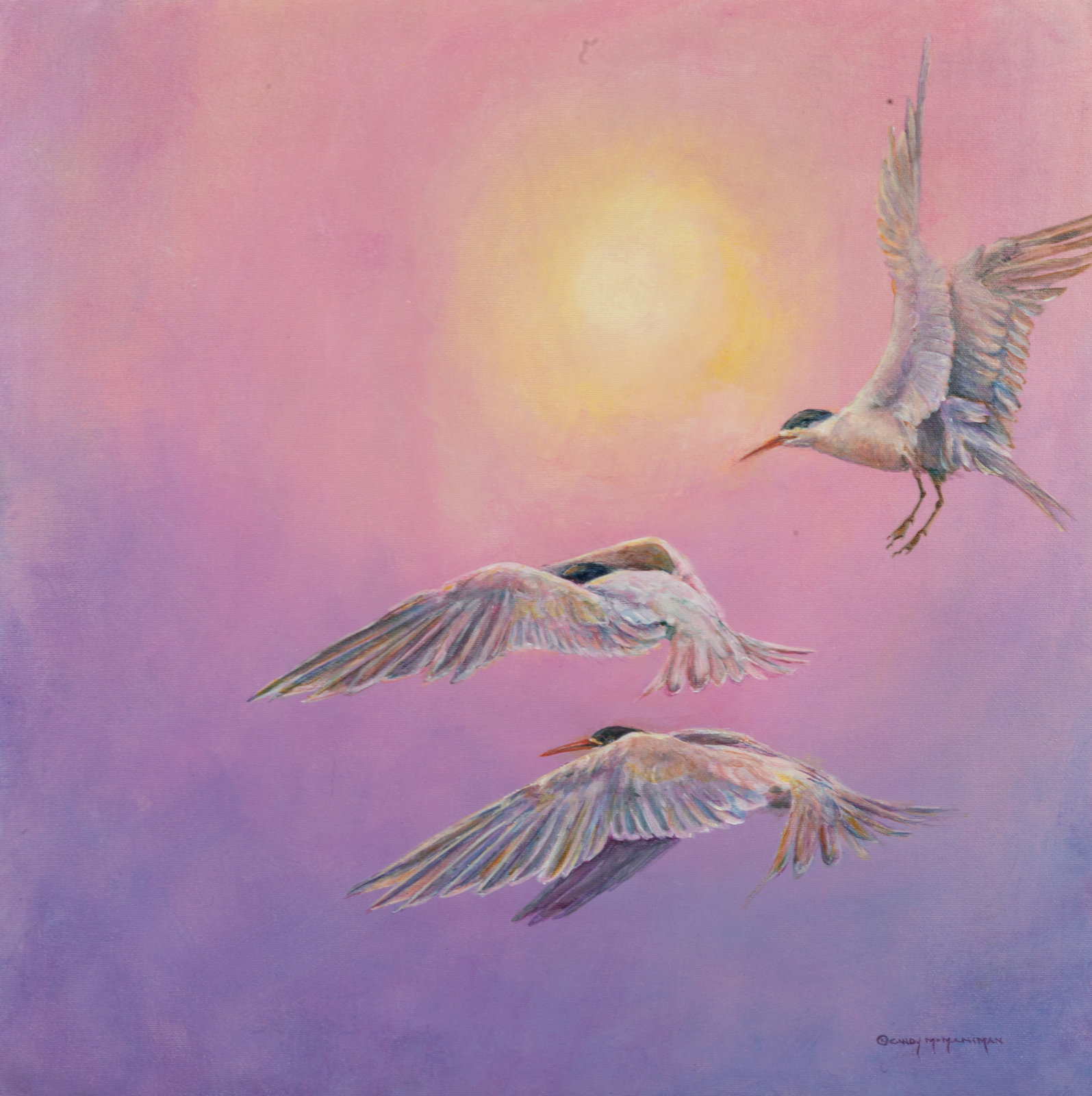 Appraisal: Candy McManiman Canadian th Century Terns and Hazy Sun acrylic