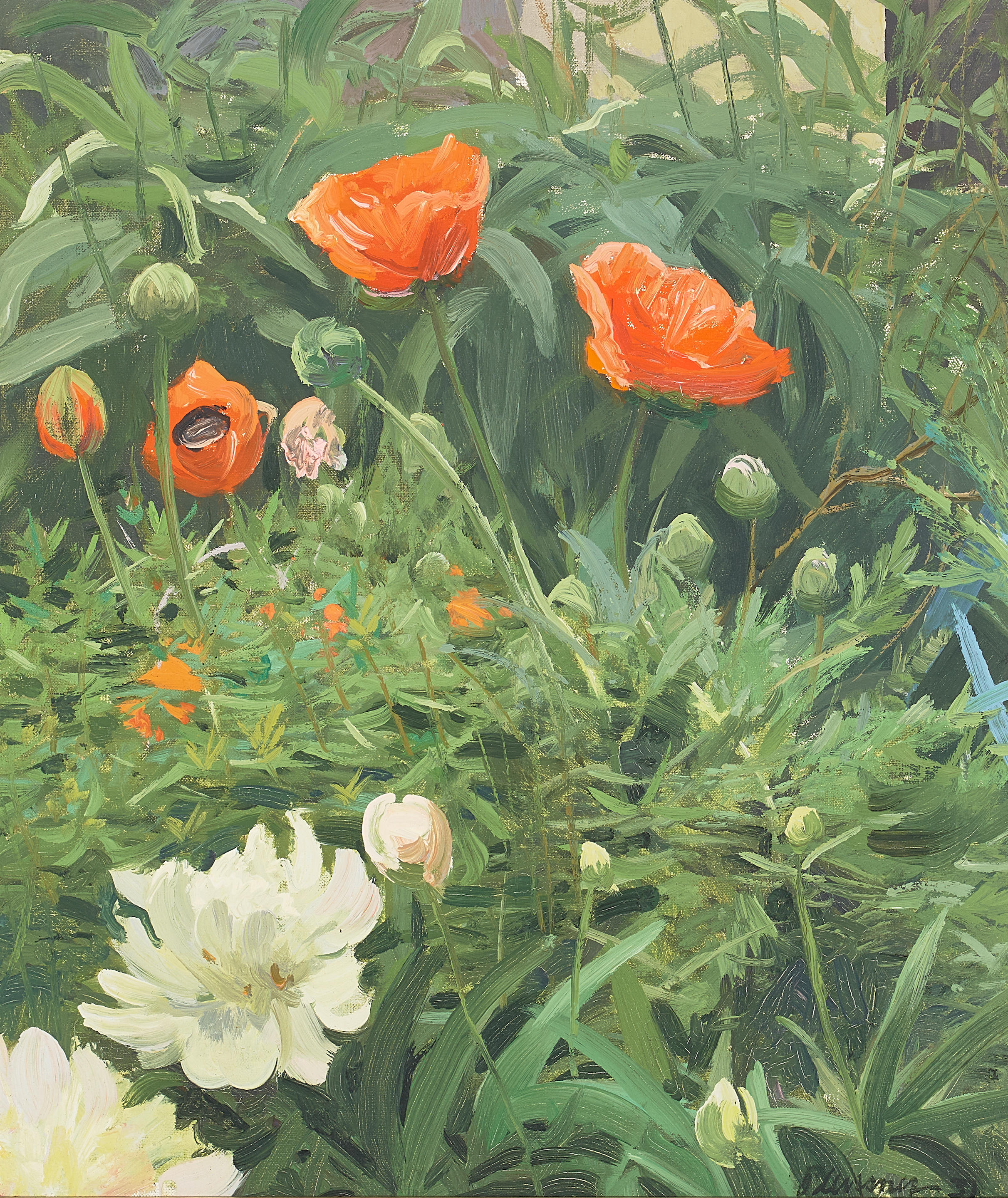 Appraisal: OGDEN MINTON PLEISSNER AMERICAN - Poppies signed and dated 'Pleissner