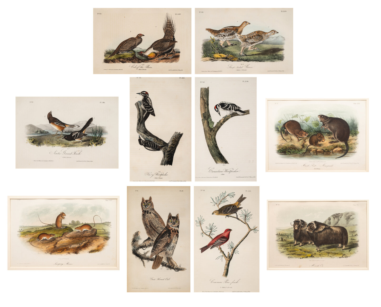 Appraisal: AUDUBON John James - et al after A group of