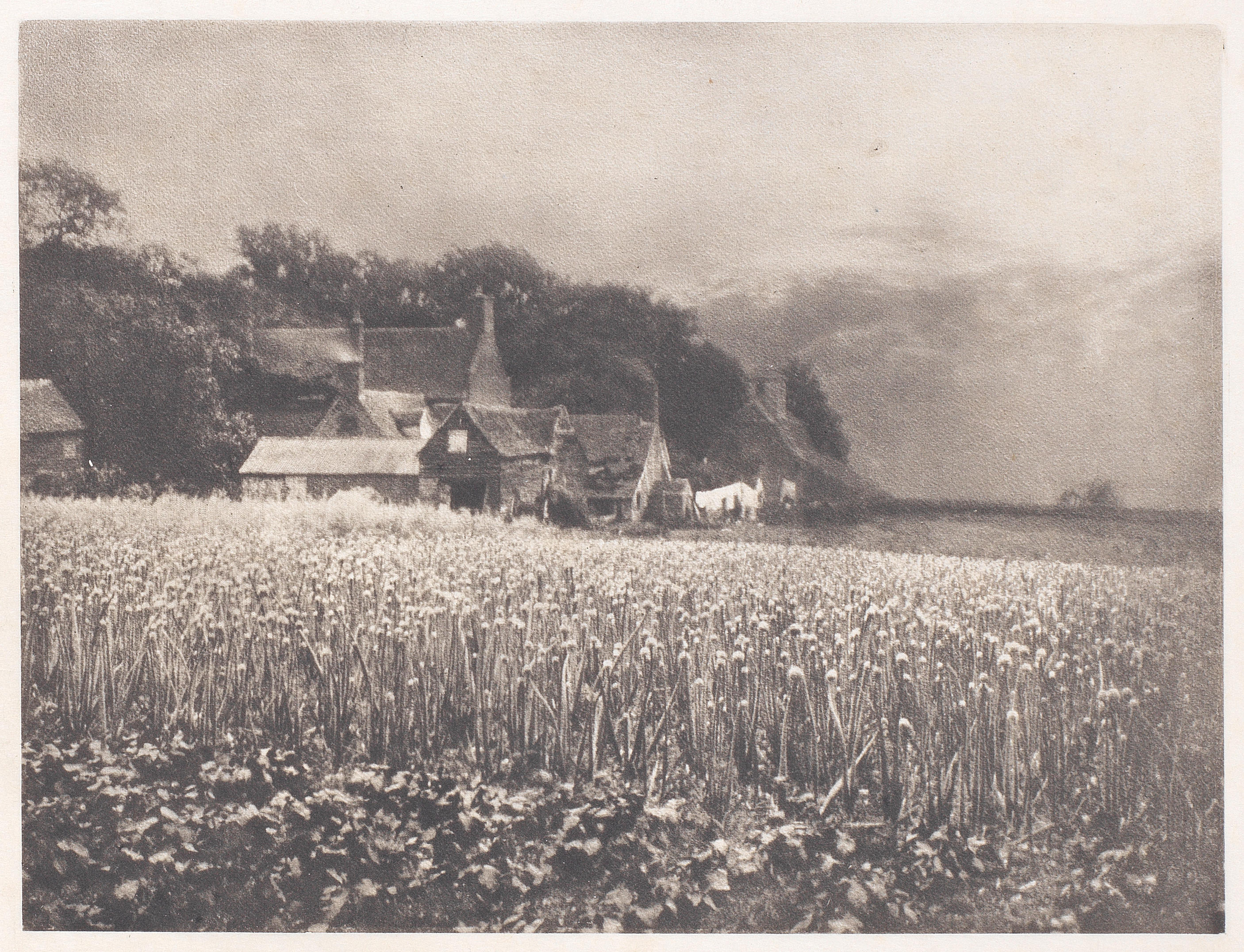 Appraisal: PHOTOGRAPHY - GEORGE DAVISON A group of vintage photogravures including