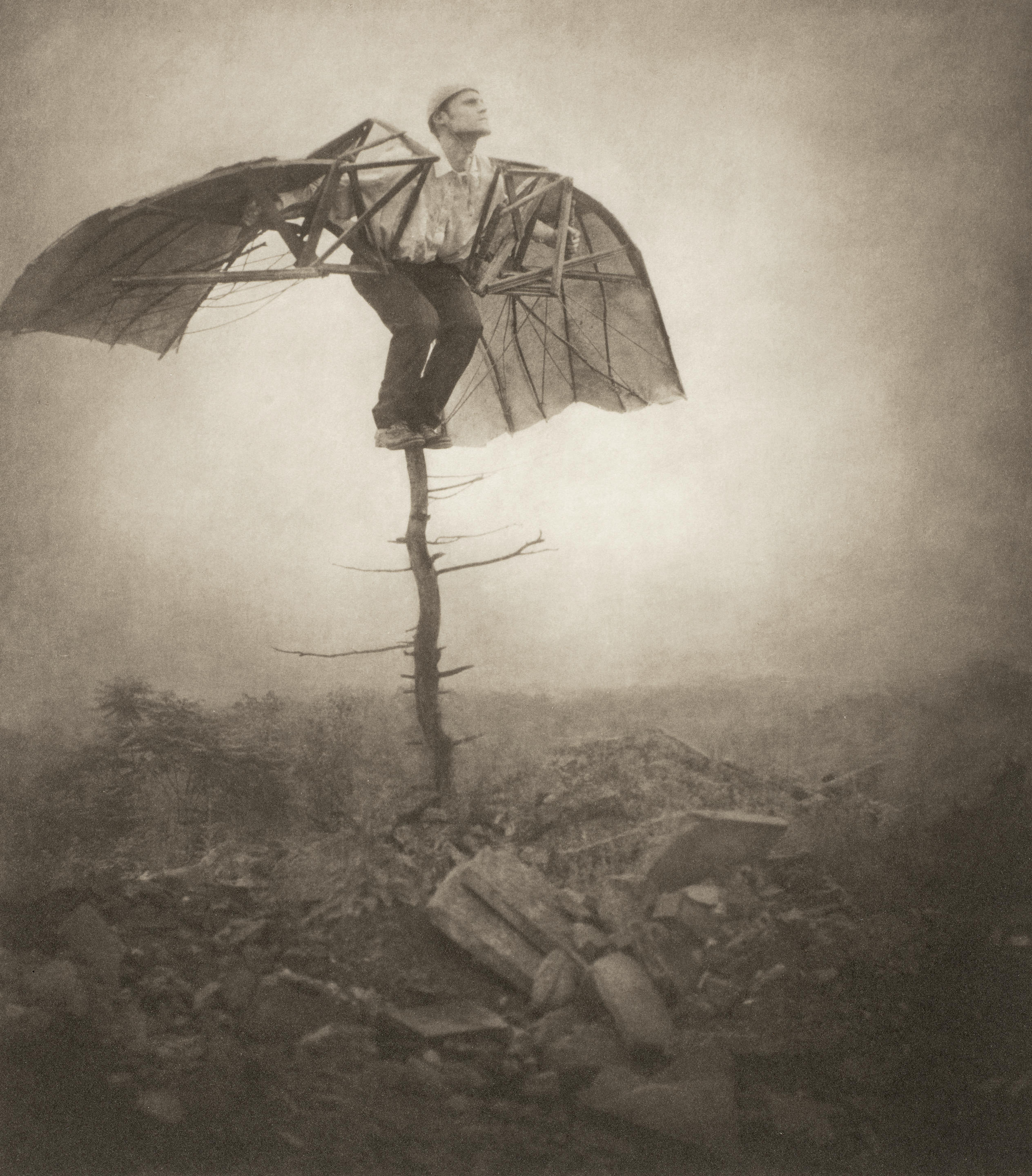 Appraisal: ROBERT SHANA PARKEHARRISON BORN BORN The Book of Life st