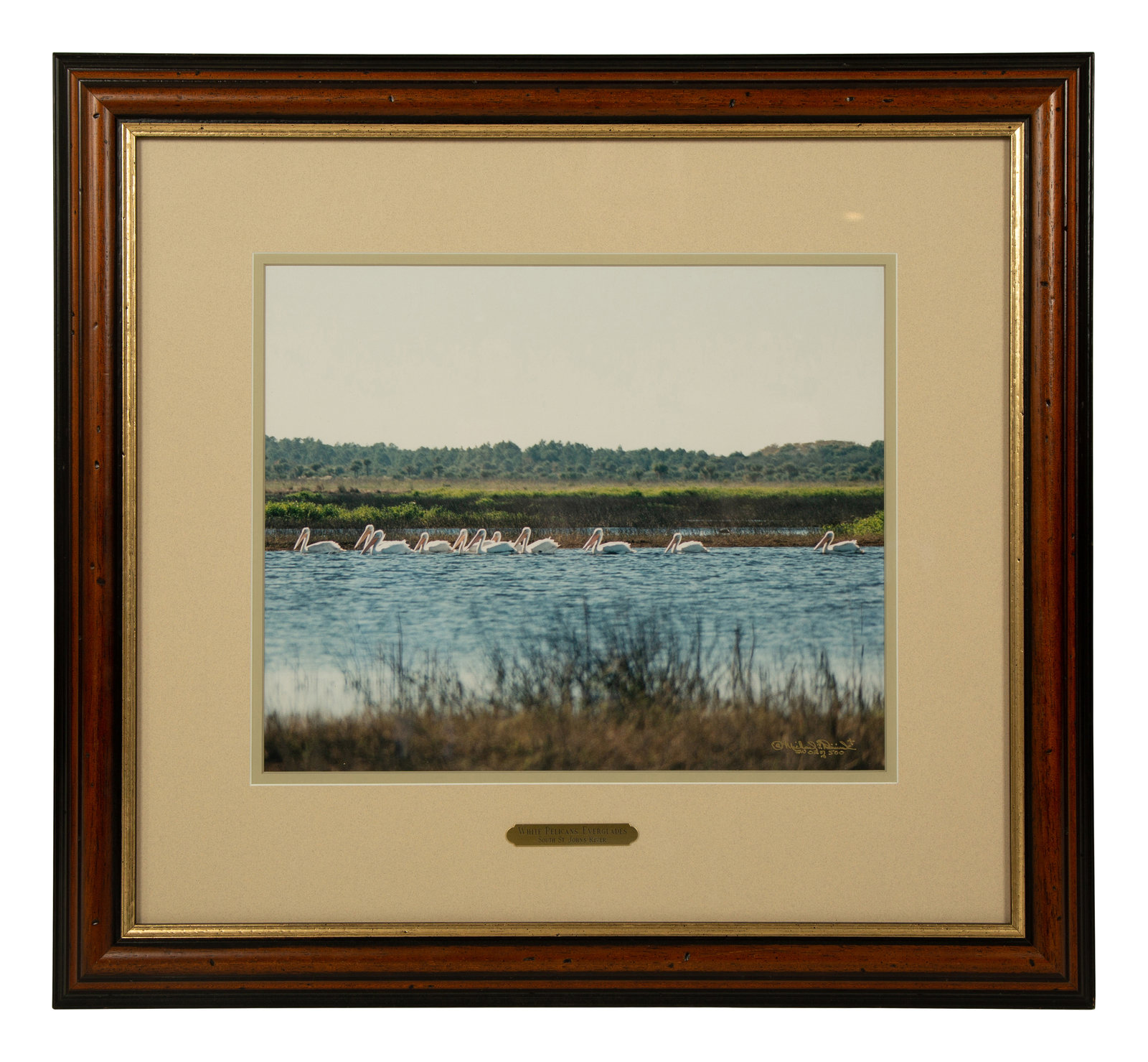 Appraisal: Michael Dominick American th Century Cypress Trees Great Blue Heron