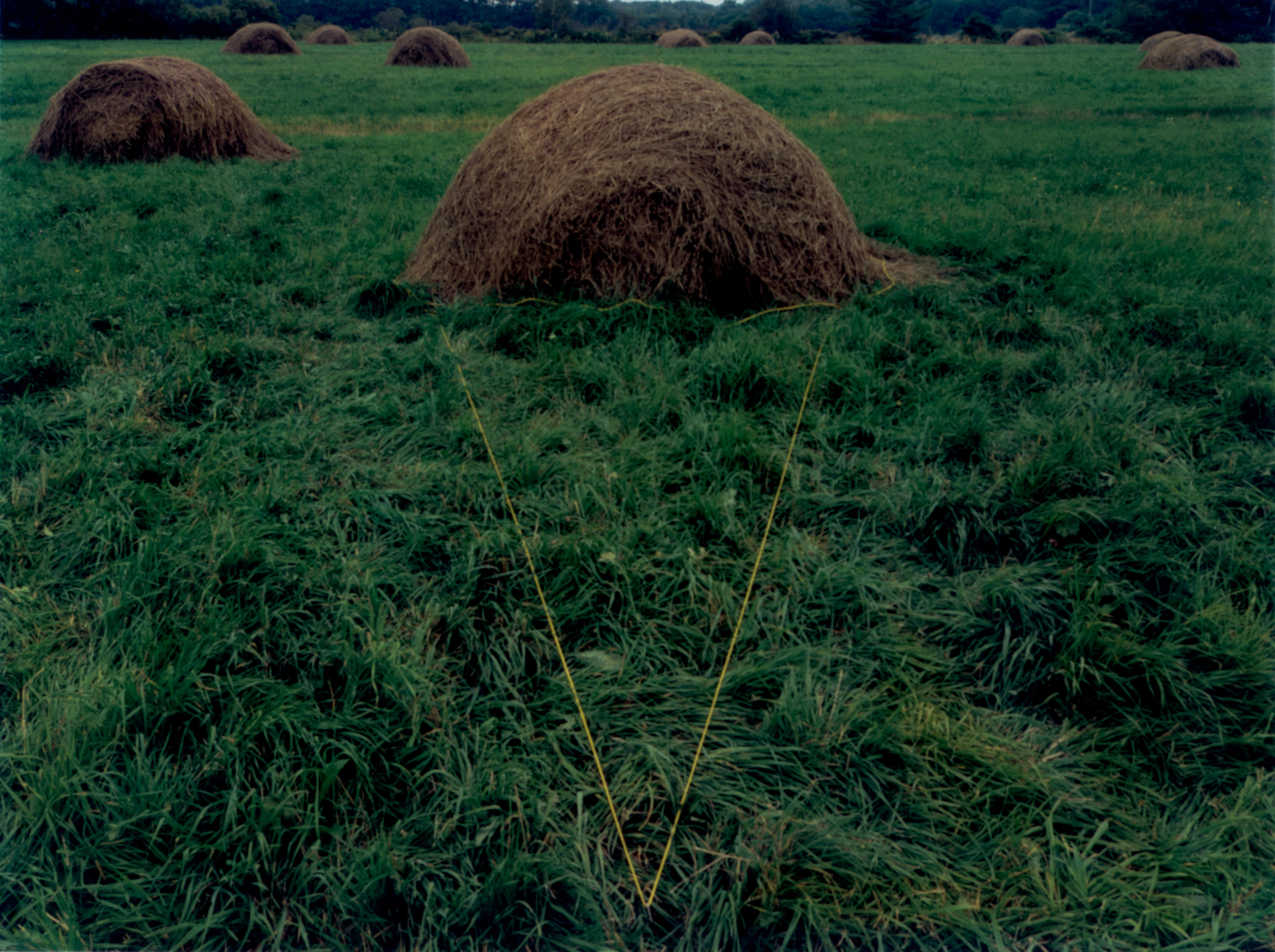 Appraisal: JOHN PFAHL - 'Haystack Cone Freeport Maine' From 'Altered Landscapes'