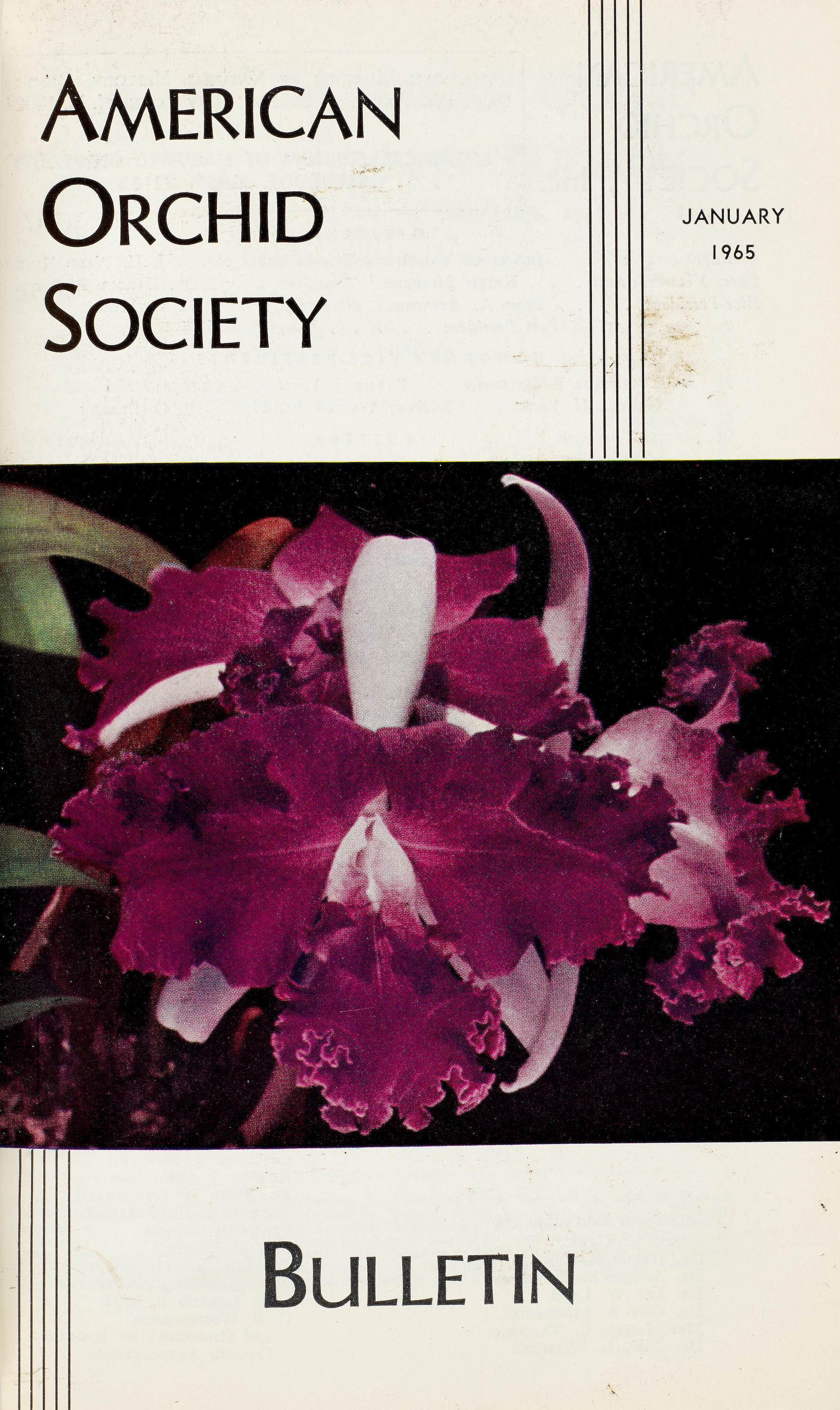 Appraisal: AMERICAN ORCHID SOCIETY American Orchid Society Bulletin Orchids Volumes through