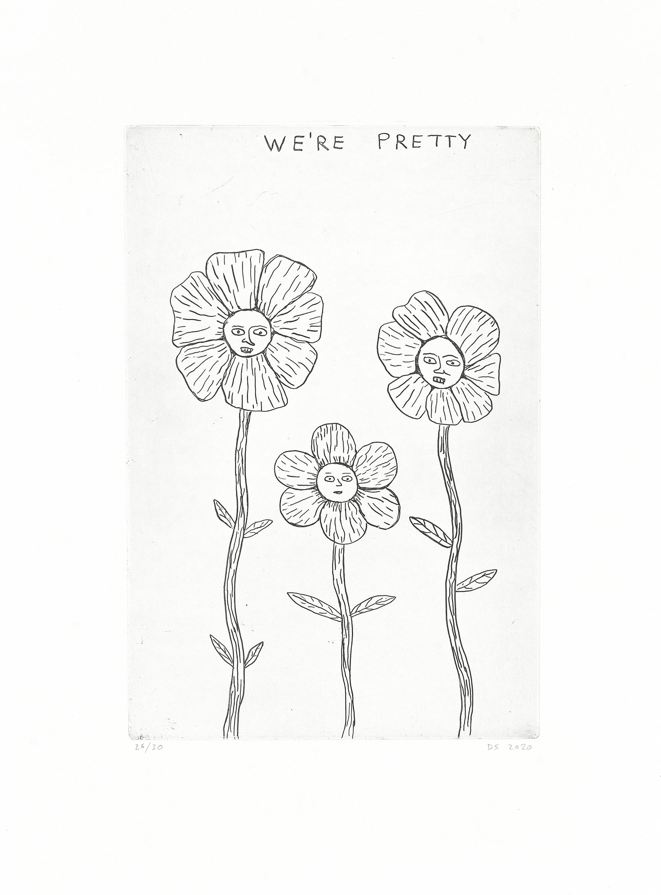 Appraisal: DAVID SHRIGLEY BRITISH BORN We're Pretty Etching on Somerset wove