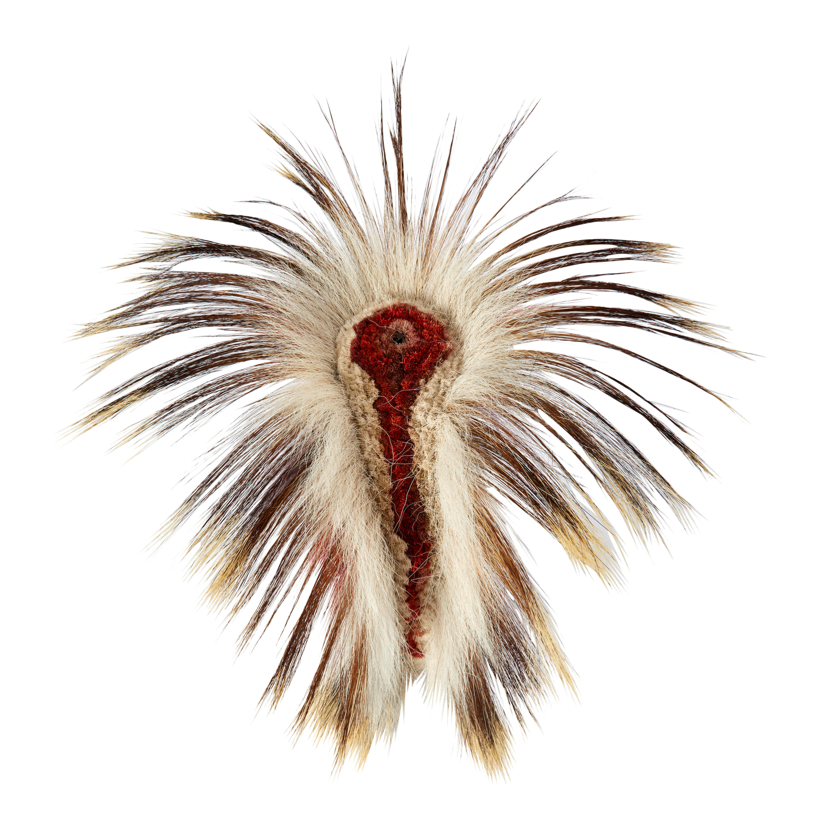 Appraisal: A CENTRAL PLAINS HAIR ROACH Of typical form comprising porcupine