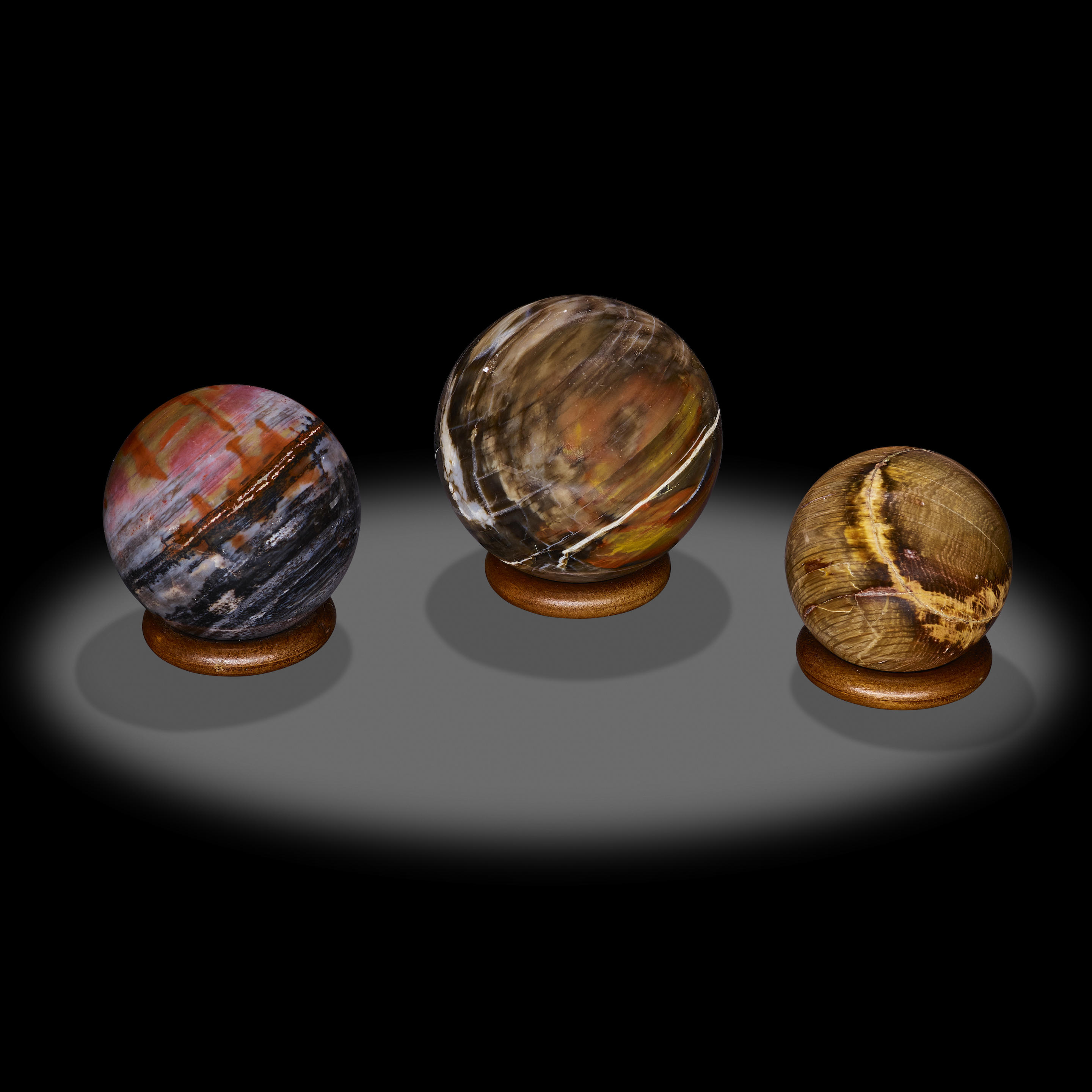 Appraisal: THREE PETRIFIED WOOD SPHERES Including a polished sphere of petrified