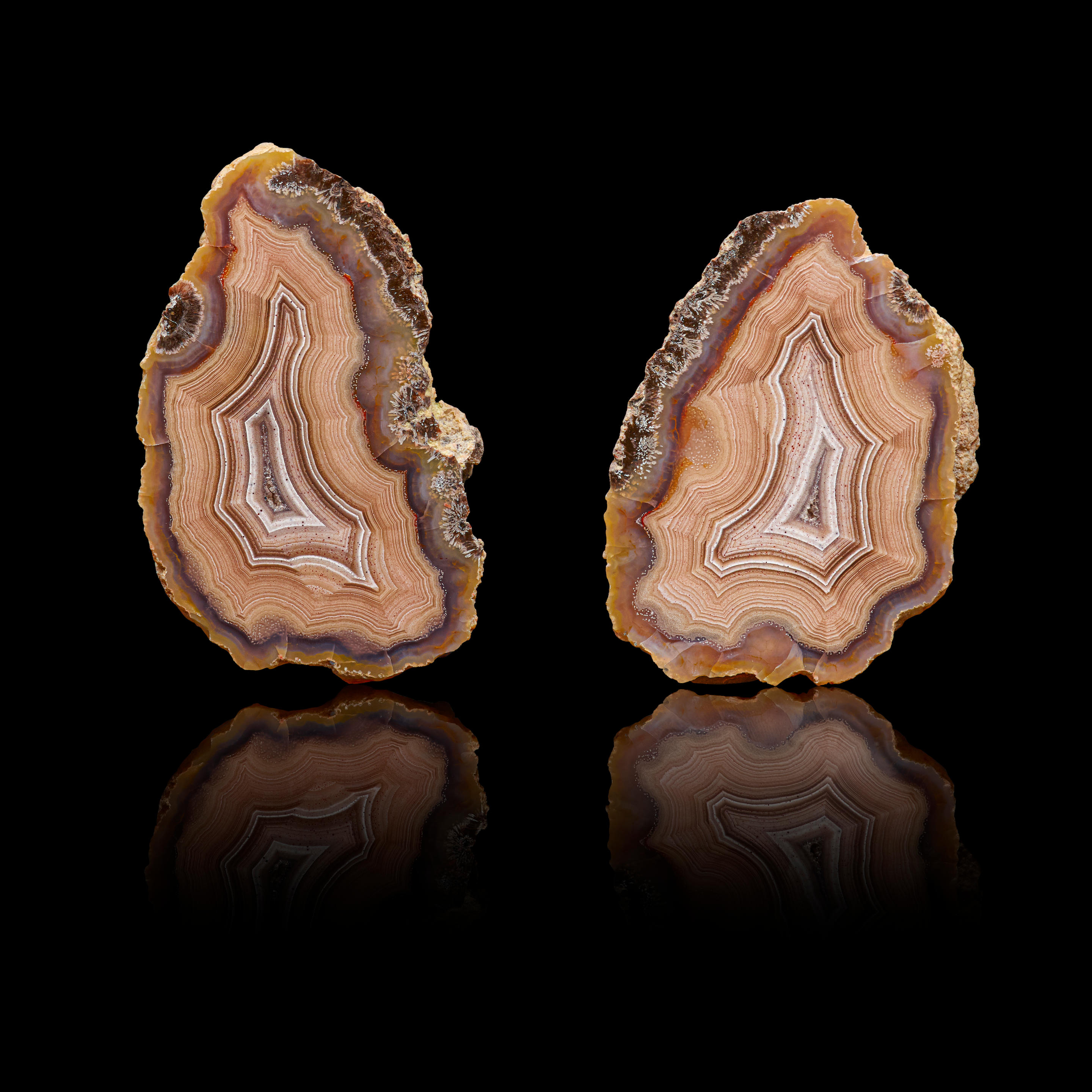 Appraisal: LAGUNA SHADOW AGATE SPLIT Estacion Ojo Laguna Ahumada Municipality Chihuahua