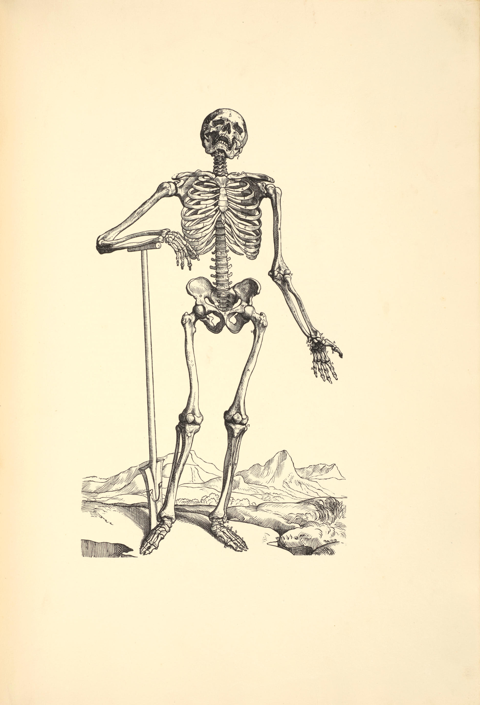 Appraisal: VESALIUS ANDREAS - Icones Anatomicae Munich The Bremer Press for