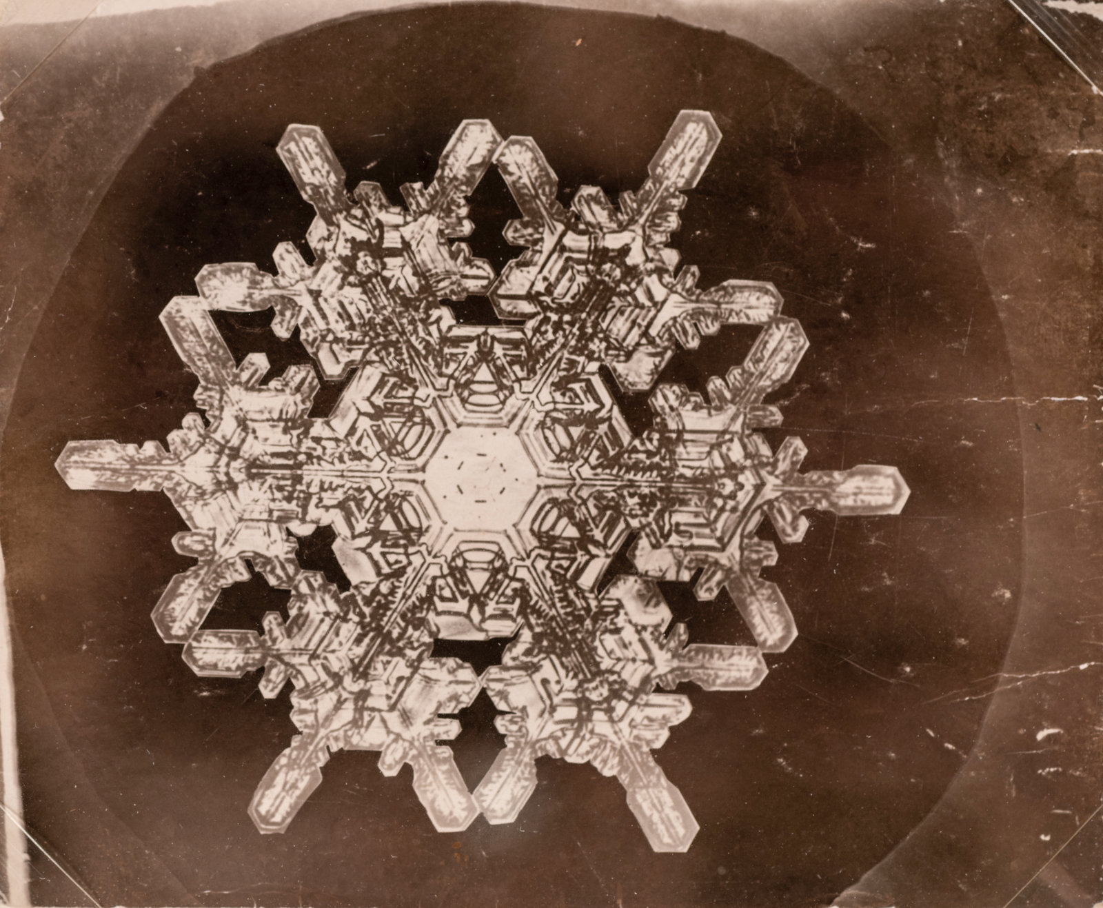 Appraisal: Wilson A Bentley American - Snowflake - photomicrograph x inches