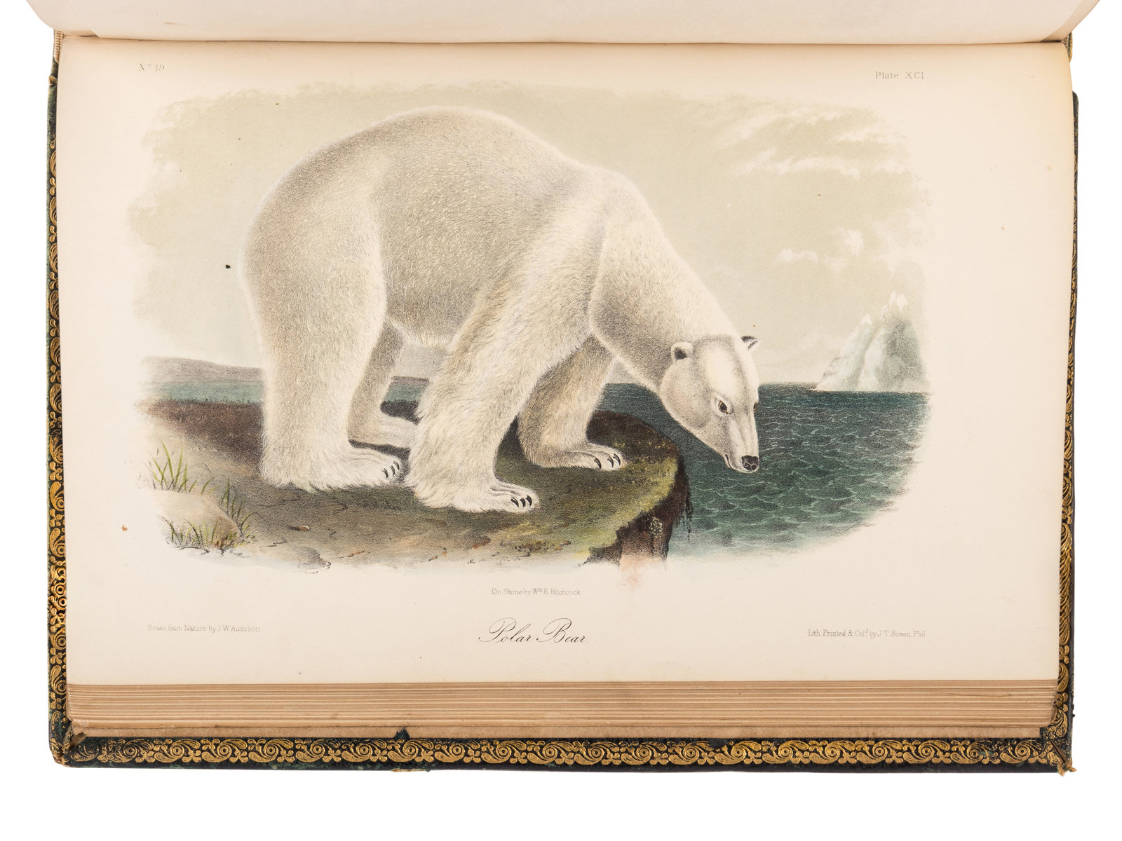 Appraisal: AUDUBON John James - and John BACHMAN - The Quadrupeds