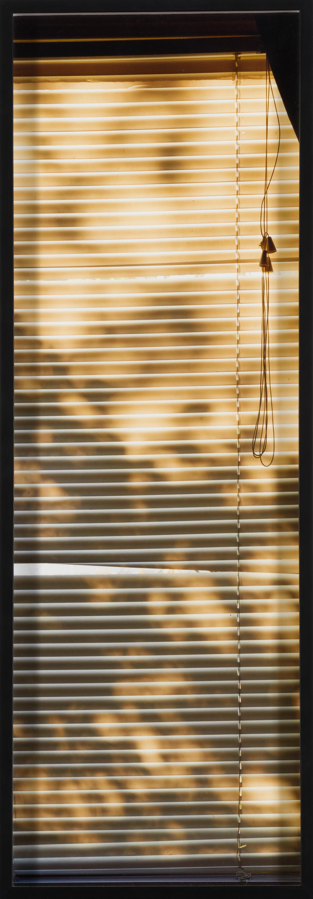 Appraisal: ELSA PARRA JOHANNA BENAINOUS Window III beyond the shadows C-print