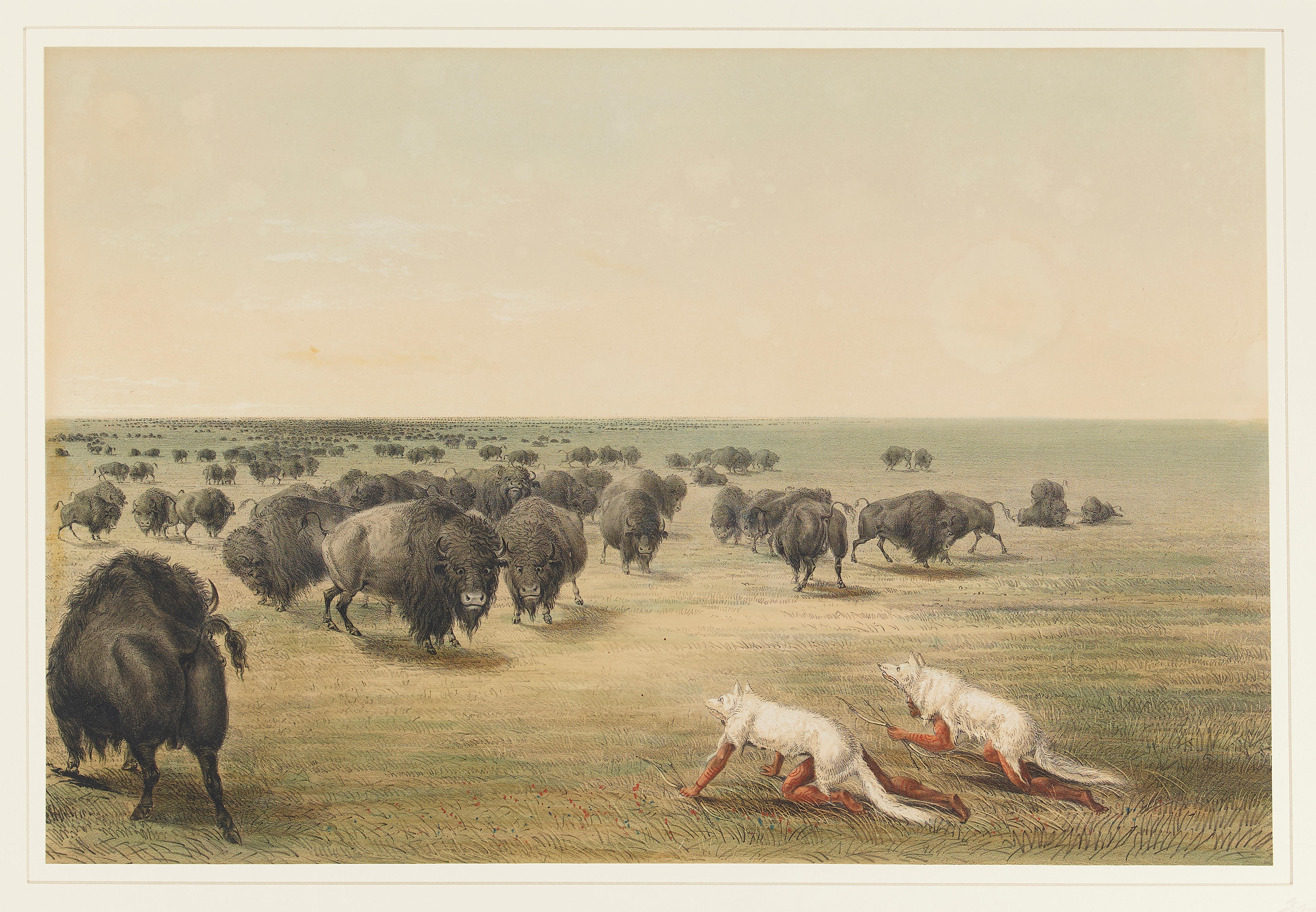 Appraisal: AFTER GEORGE CATLIN - Indians in Wolf Skins Approaching Herd