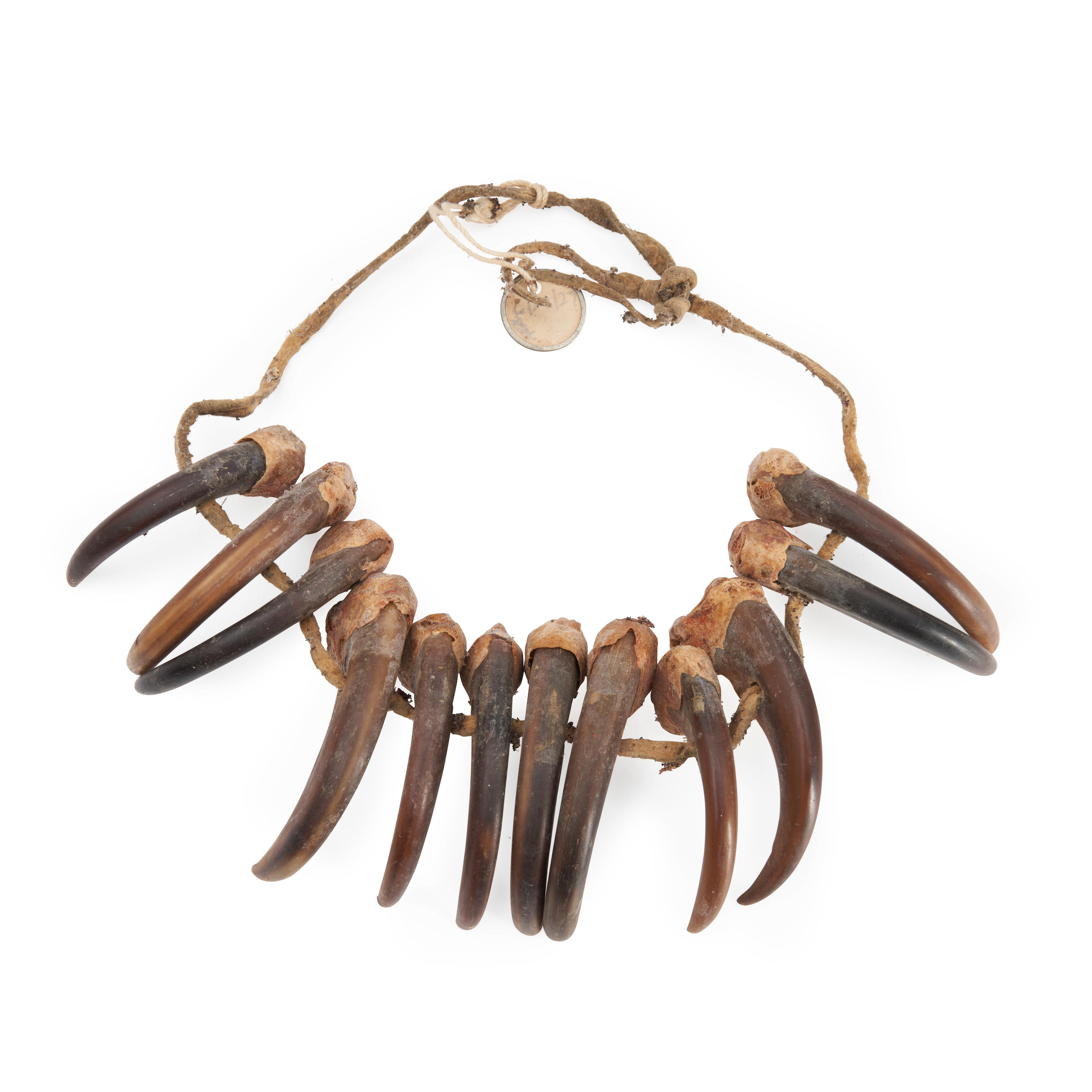 Appraisal: AN OJIBWE CHIPPEWA BEAR CLAW NECKLACE Twelve bear claws strung