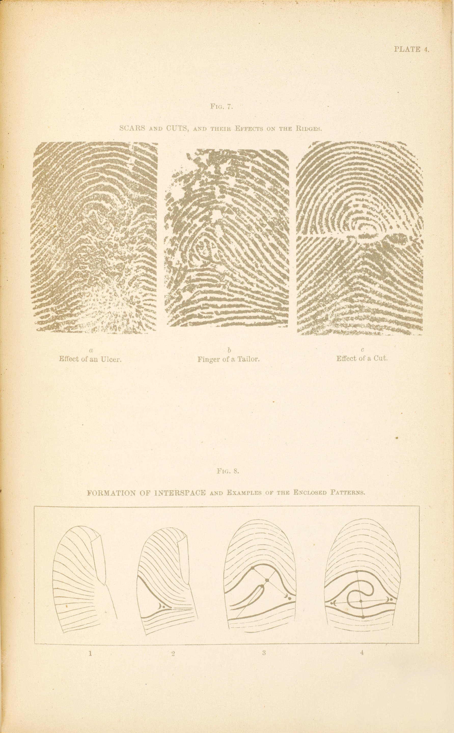 Appraisal: GALTON FRANCIS - Finger Prints London and New York Macmillan