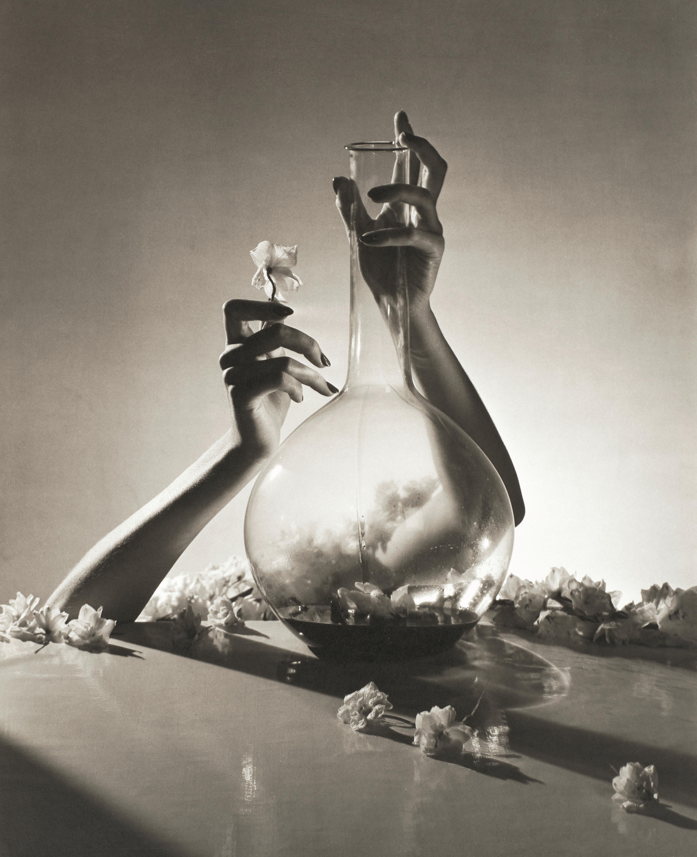 Appraisal: HORST P HORST - 'Lisa Fonssagrives-Penn Hands with Flask Flowers'