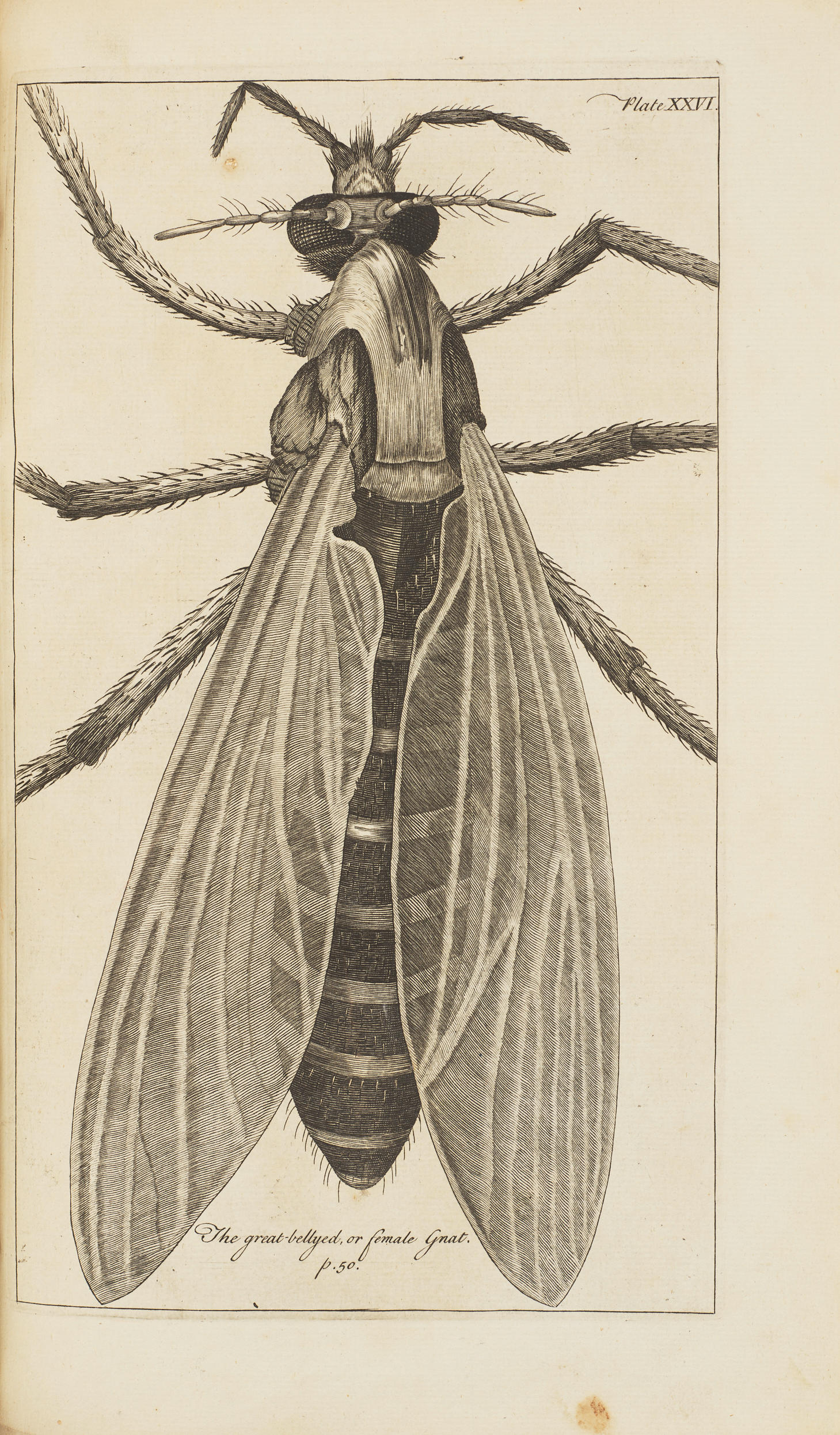 Appraisal: HOOKE ROBERT - Microscopic Observations or Dr Hooke's Wonderful Discoveries