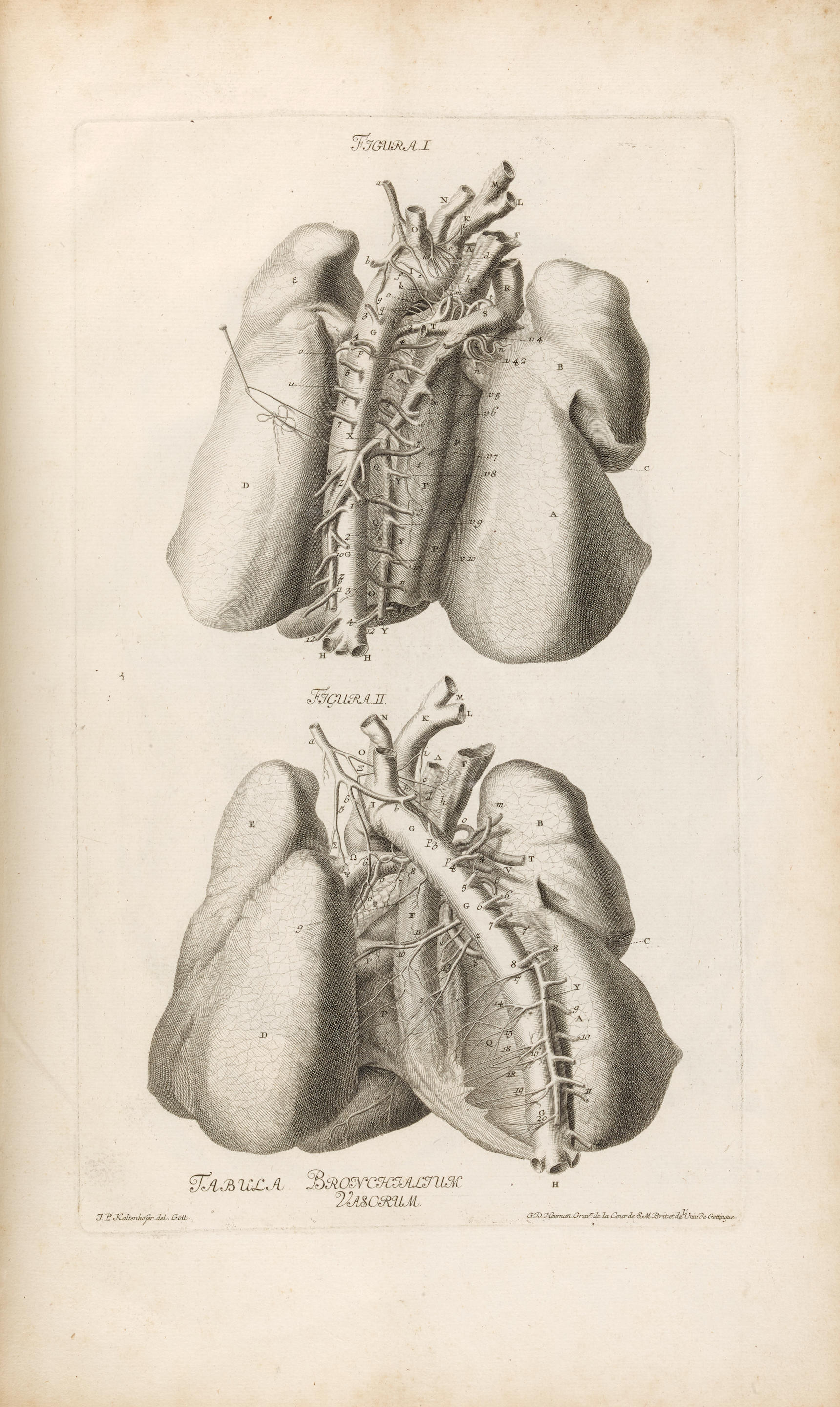 Appraisal: HALLER ALBRECHT - A group of works Including Iconum anatomicarum