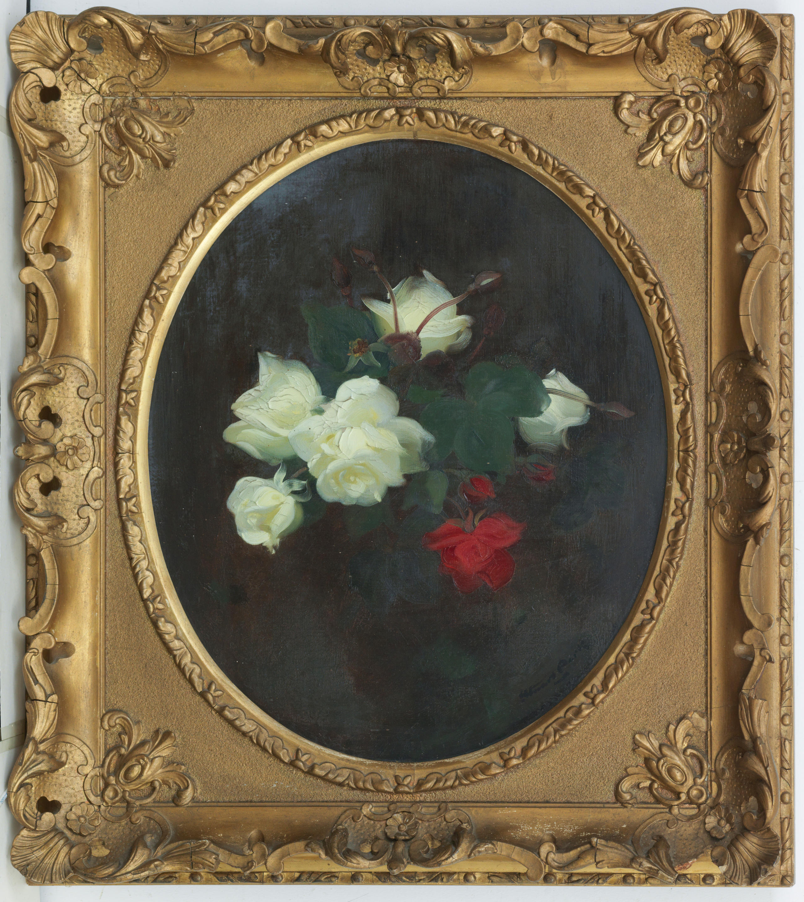 Appraisal: JAMES STUART PARK BRITISH - White and red roses signed