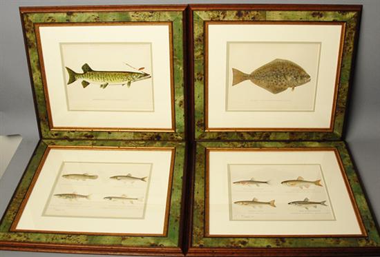 Appraisal: Nine Sherman Denton Color Lithographs of Fish New York c