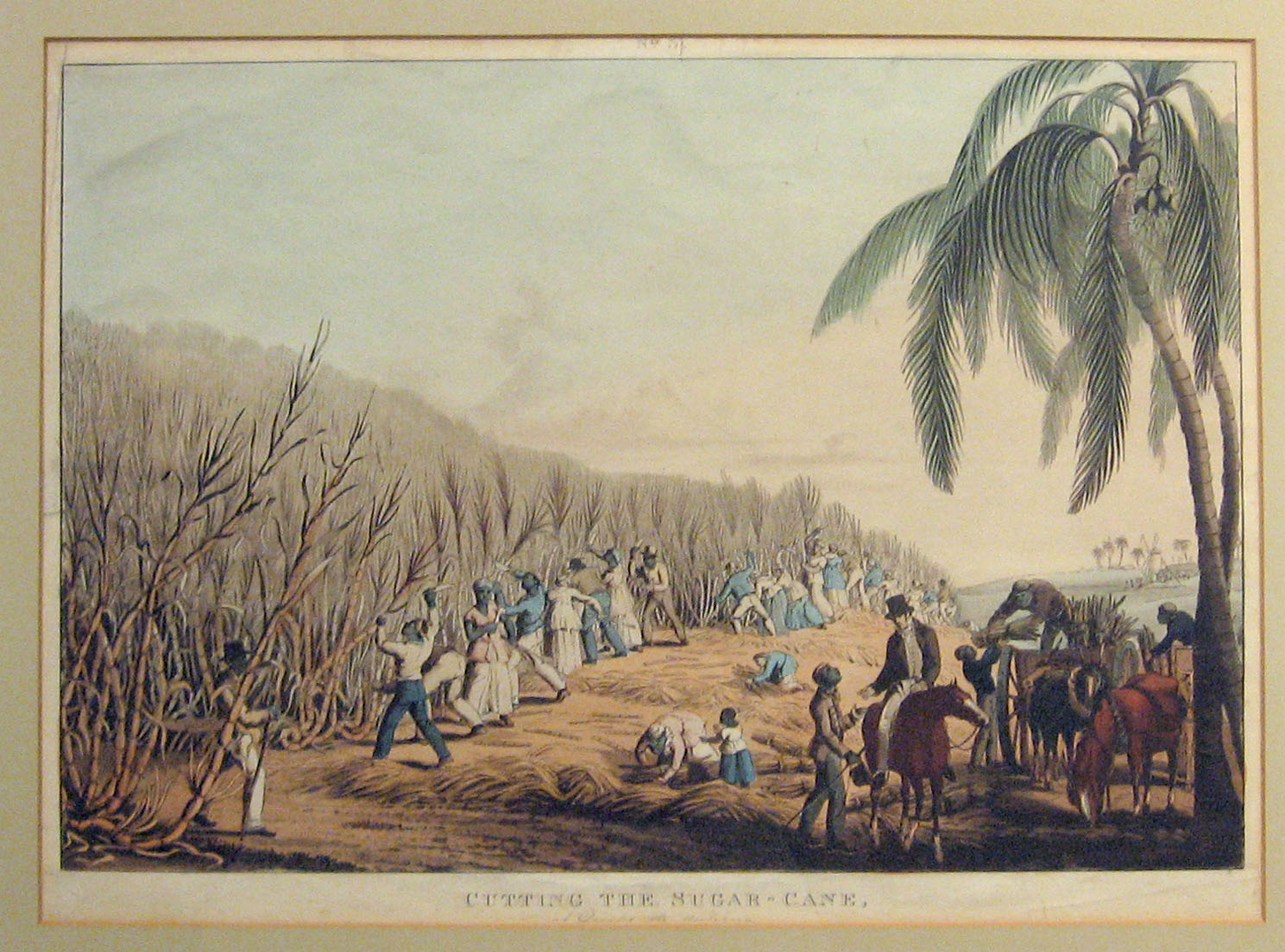 Appraisal: pieces Hand-Colored Aquatints Holeing a Cane-Piece Planting The Sugar-Cane Cutting