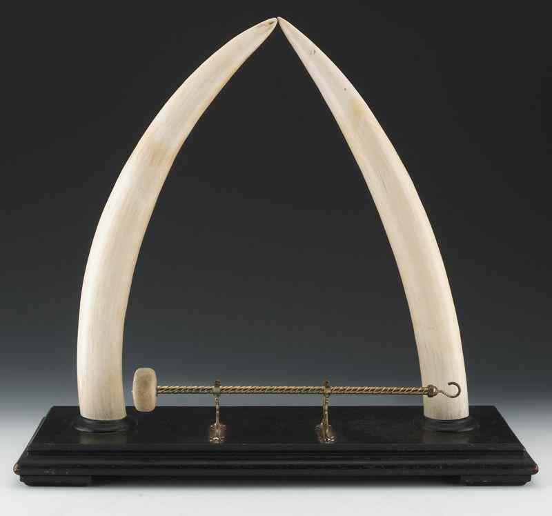 Appraisal: Pr Elephant tusks set as a gong International buyers should