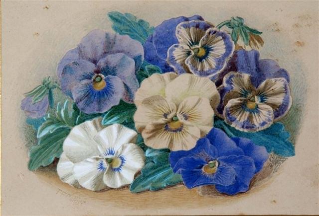 Appraisal: THOMAS FREDERICK COLLIER British - Still life of pansies a