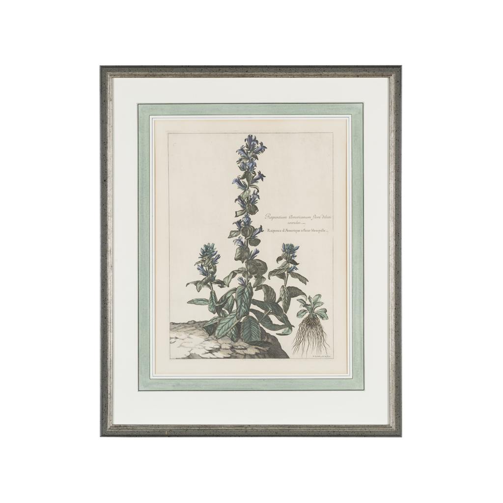 Appraisal: SET OF SIX FRAMED BOTANICAL PRINTS MODERN after th century