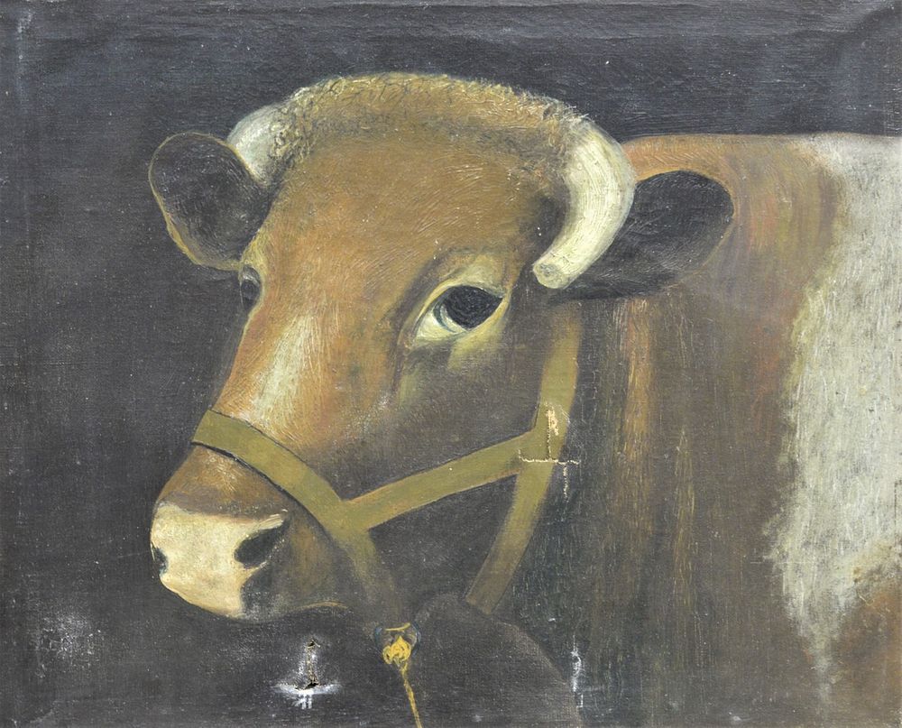 Appraisal: Attributed to Adolfo Ollavaca Argentian - Retrato de Una Vaca