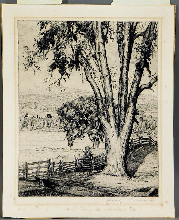 Appraisal: Luigi Lucioni Old Elm Landscape Etching Luigi Lucioni Italy United