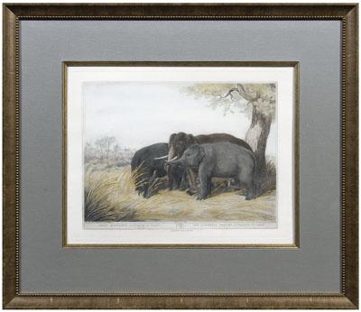 Appraisal: Elephant engraving after Williamson quot Decoy Elephants Catching a Male