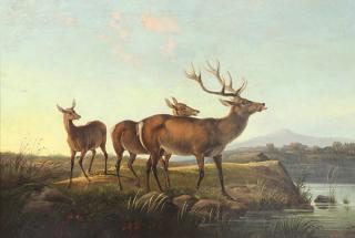 Appraisal: Painting Arthur Fitzwilliam Tait Arthur Fitzwilliam Tait American - Stag