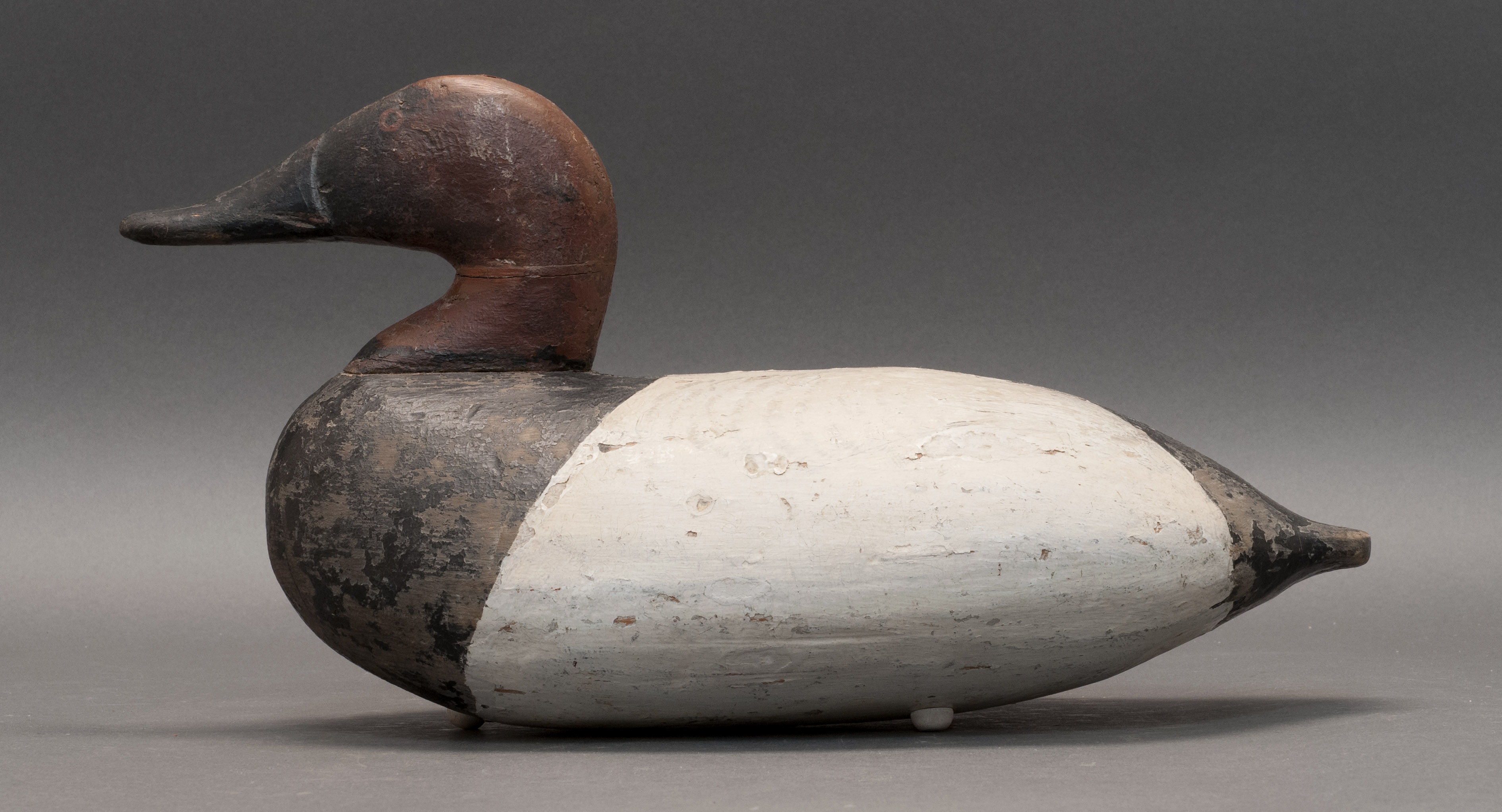 Appraisal: CANVASBACK DRAKE DECOY From the Chesapeake Bay area Maker unknown