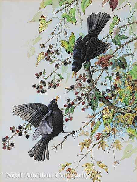 Appraisal: Basil Ede English b Blackbirds watercolor on paper signed and