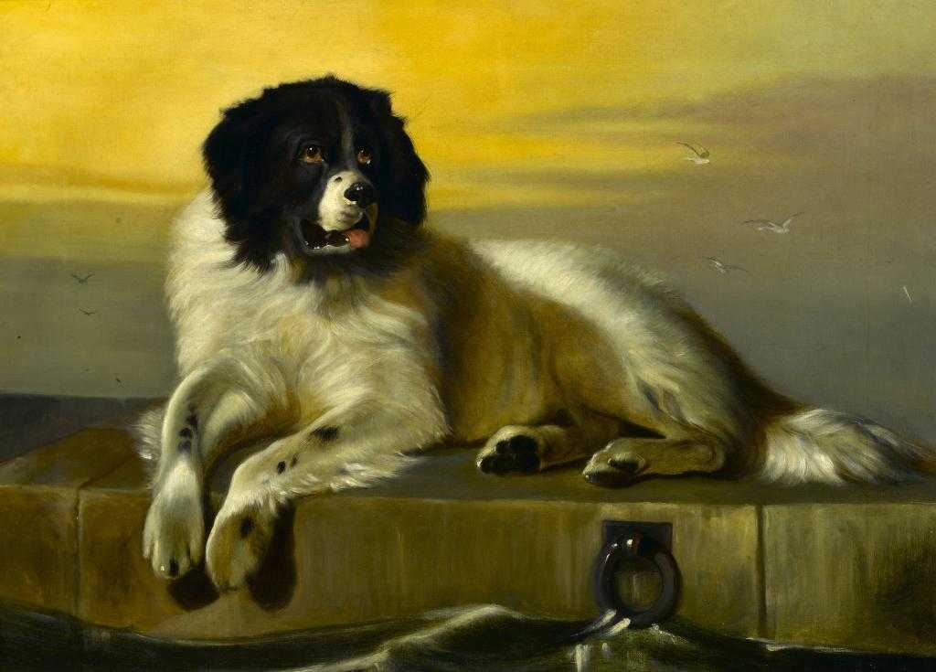 Appraisal: AFTER SIR EDWIN HENRY LANDSEER RA A DISTINGUISHED MEMBER OF