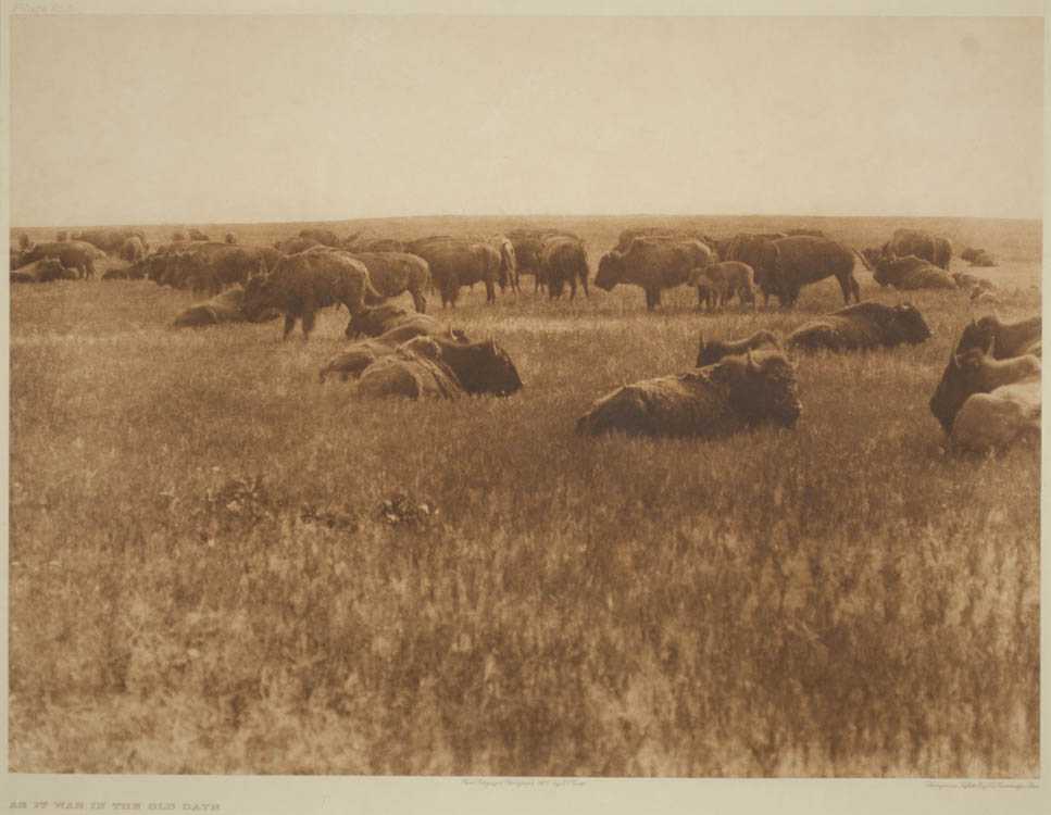 Appraisal: EDWARD CURTIS PHOTOGRAVURE Seattle Washington - As It Was In