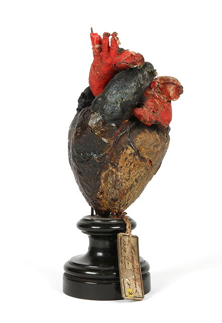 Appraisal: A MID TH CENTURY PRESERVED HUMAN HEART with painted wax