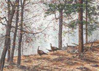 Appraisal: David Hagerbaumer - Apache Country - Turkeys signed David Hagerbaumer