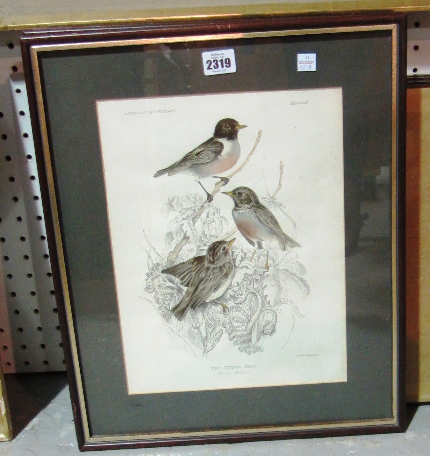 Appraisal: prints of birds