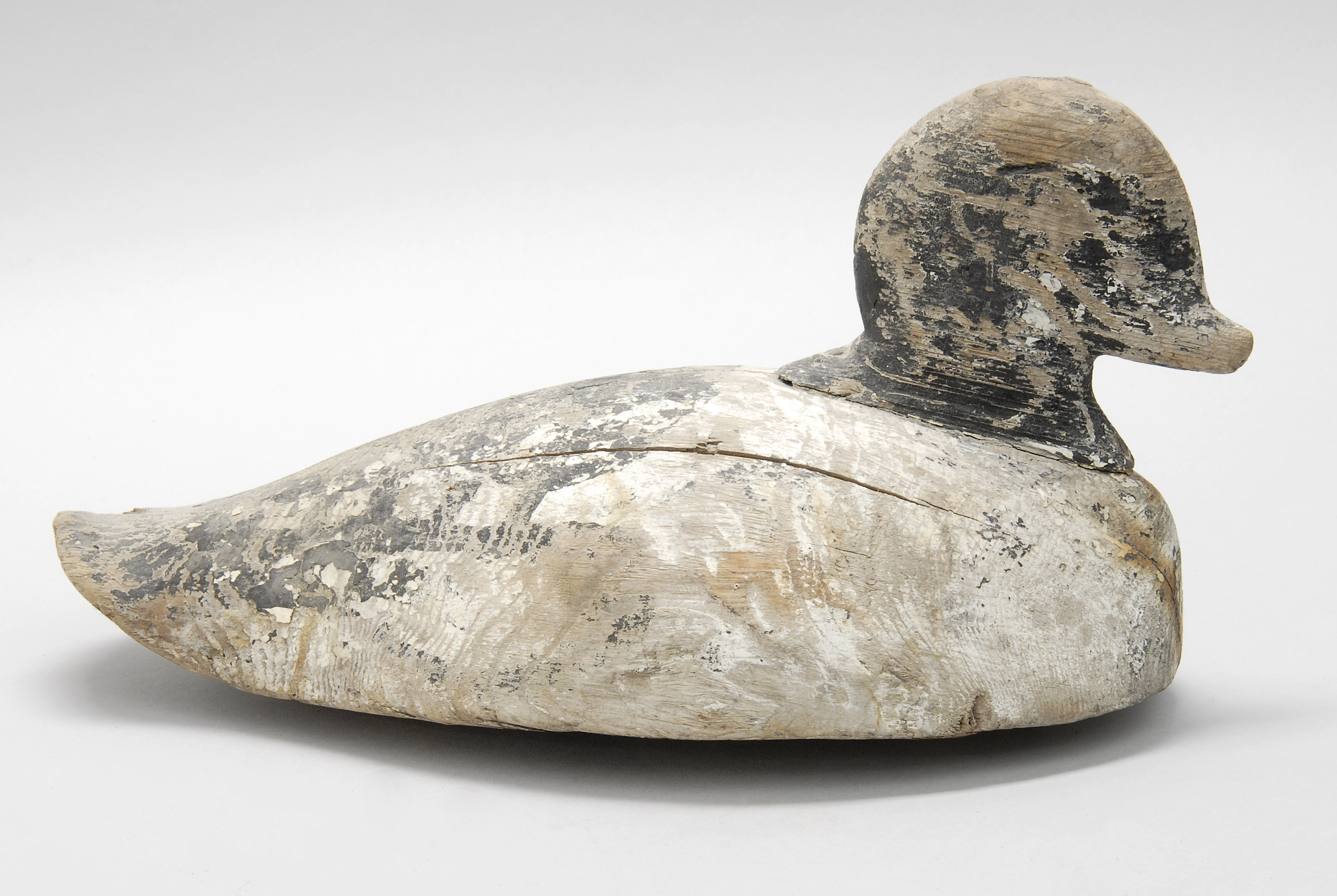 Appraisal: OVERSIZE GOLDENEYE DRAKE DECOY From the Canadian Maritimes Maker unknown