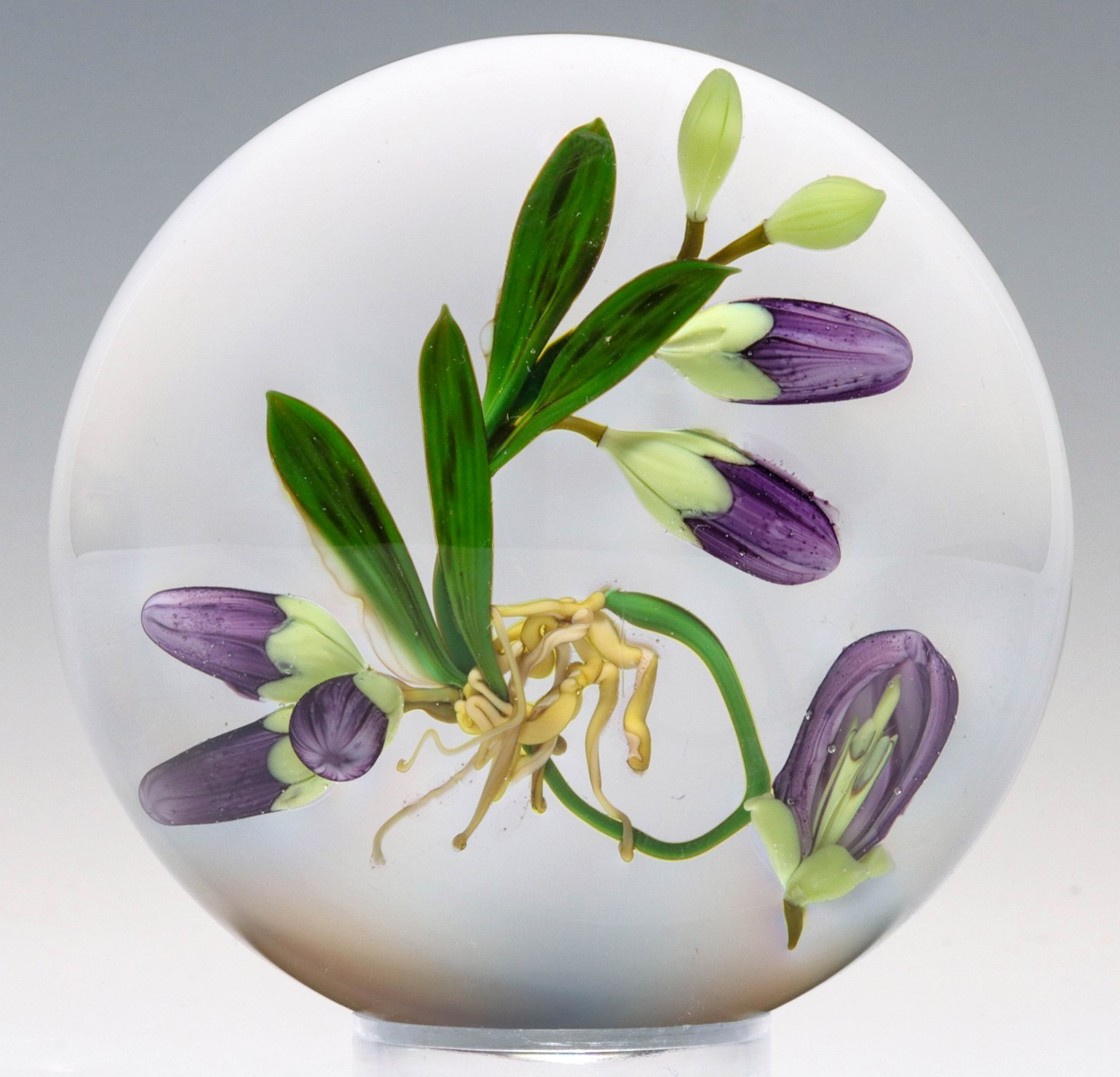 Appraisal: A FINE LAMPWORK PAPERWEIGHT SIGNED PAUL STANKARDPaul Stankard The fine