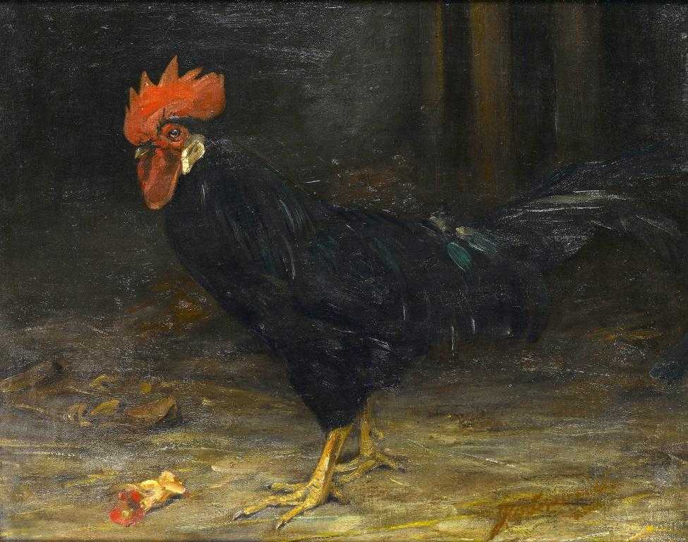 Appraisal: JOHN WHYTE SOMERVILLE - A BLACK LEGHORN signed x cm