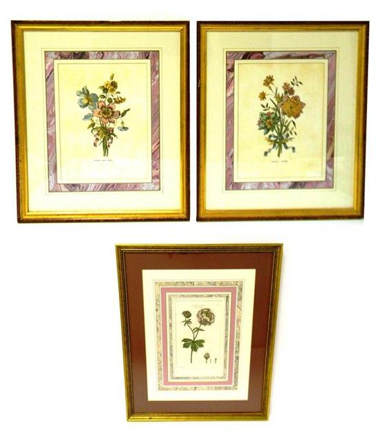 Appraisal: Three decorative floral prints restrikes of th th C botanical