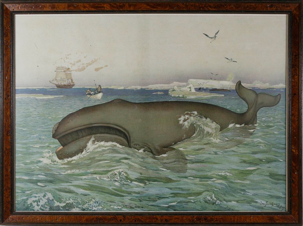 Appraisal: Joseph Fleischmann Lithograph of a Whale Joseph Fleischmann Vienna Lithograph