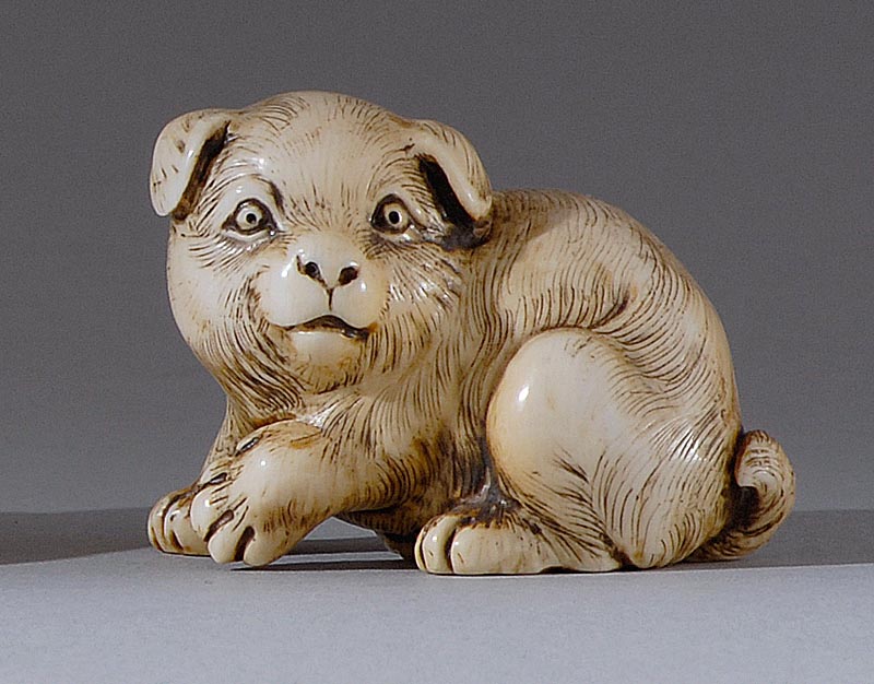 Appraisal: IVORY NETSUKE Early th CenturyIn the form of a puppy