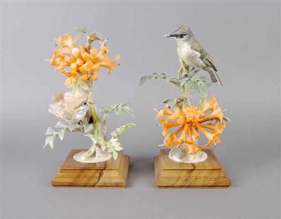 Appraisal: A Pair of Royal Worcester Dorothy Doughty Birds Phoebe Birds